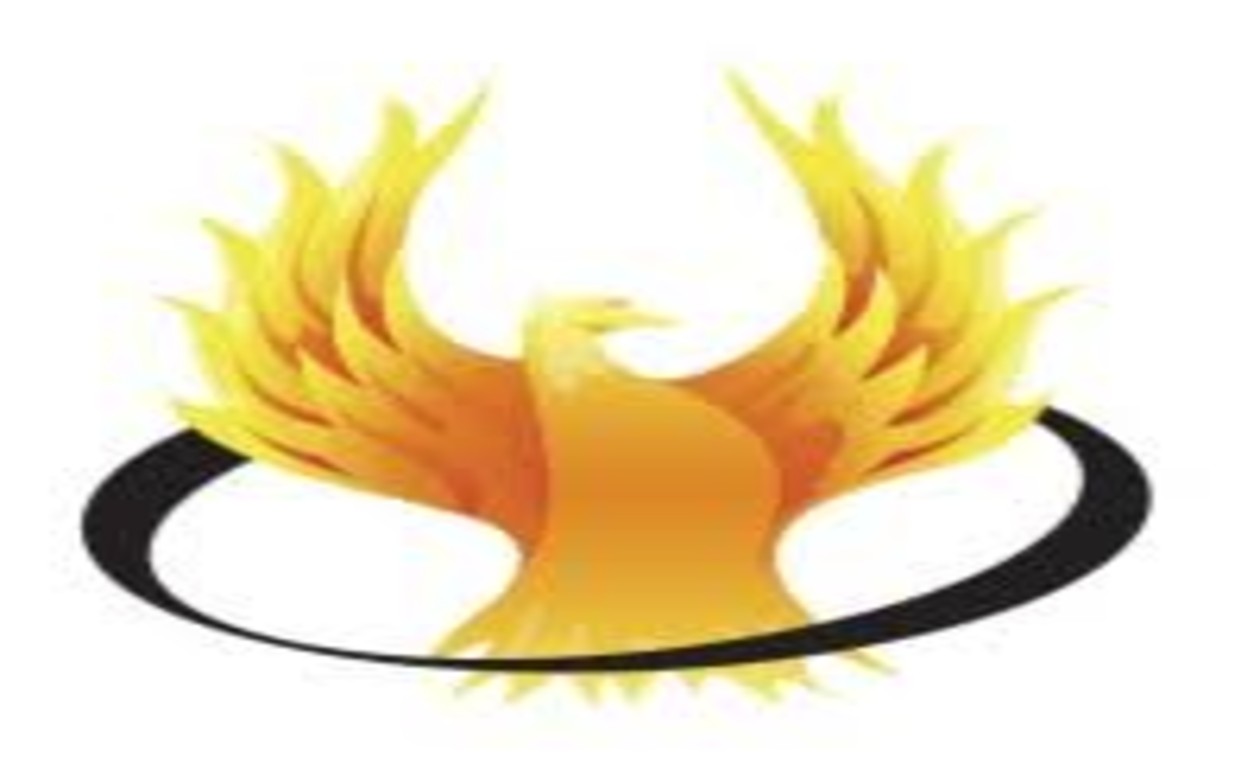 QA Engineer - Manual Testing | ProPhoenix Technologies India Pvt. Limited | Chennai