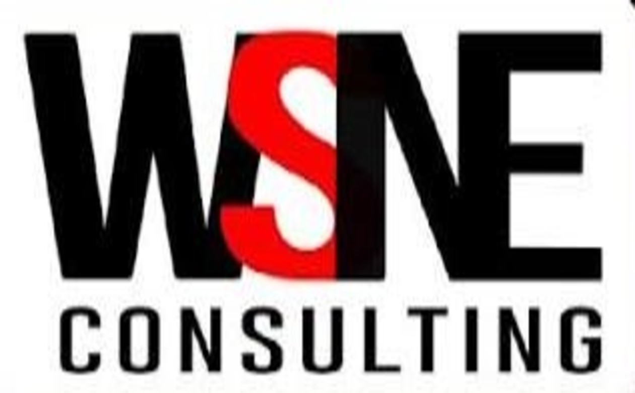 Technical Support Advisor | WSNE Consulting Private Limited | Gurugram, Delhi/ NCR