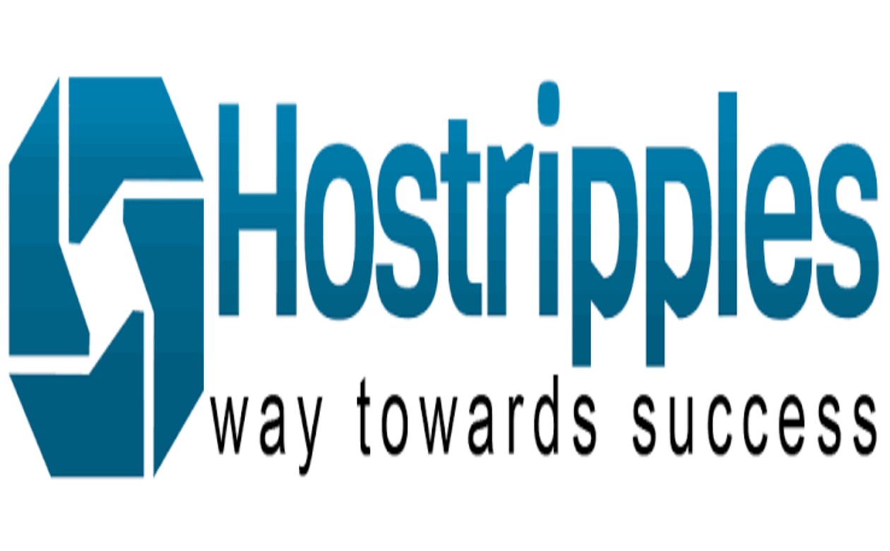 Technical Support Executive (Remote) | Hostripples India Private Limited